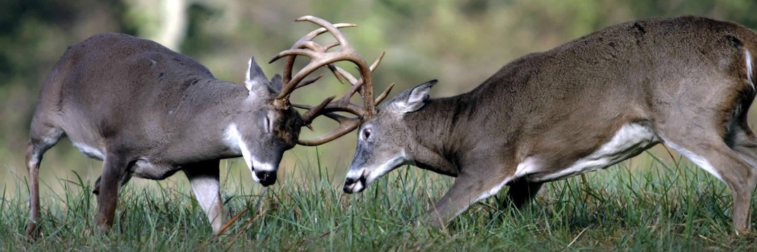 deer_nation's profile banner image