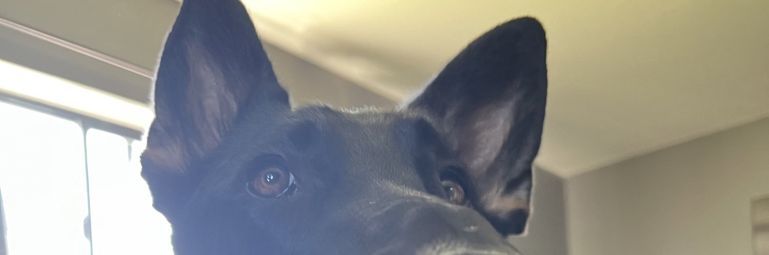 Courtneysmab's profile banner image