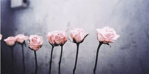 MaryRozz_'s profile banner image