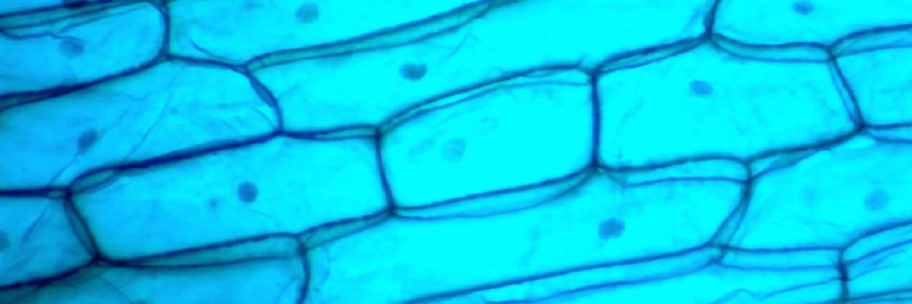 denverbiolabs's profile banner image