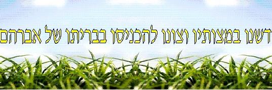 rabbi_mohel's profile banner image