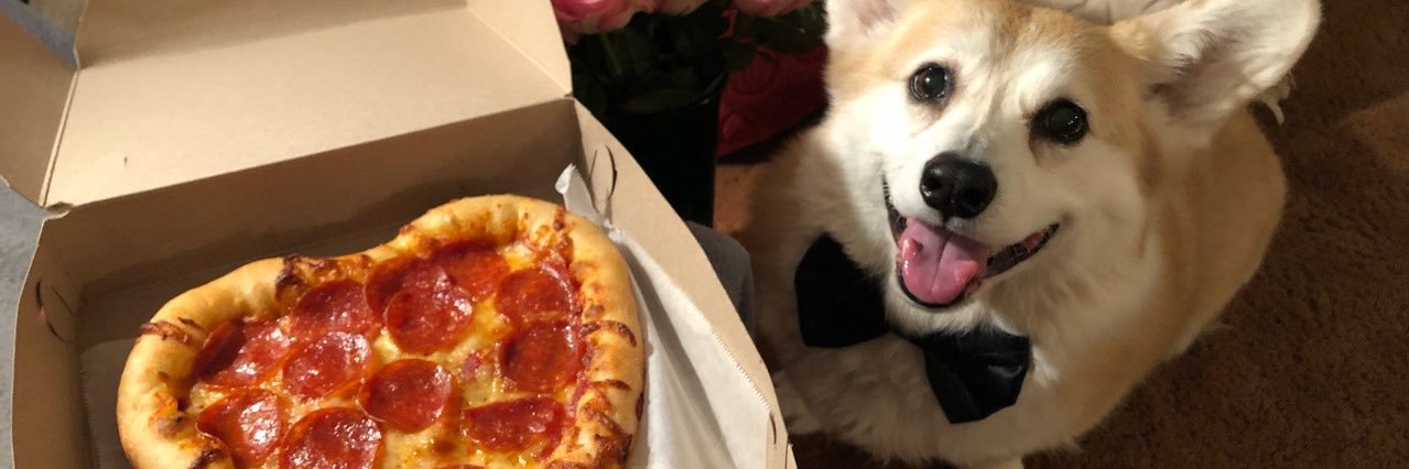 ElPerroPizza's profile banner image