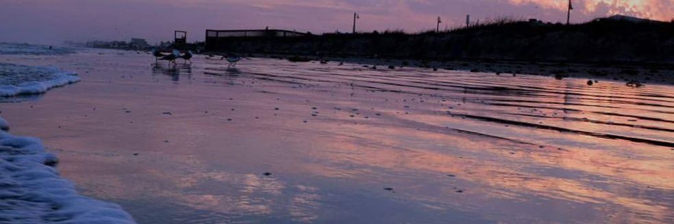onegranolabar's profile banner image