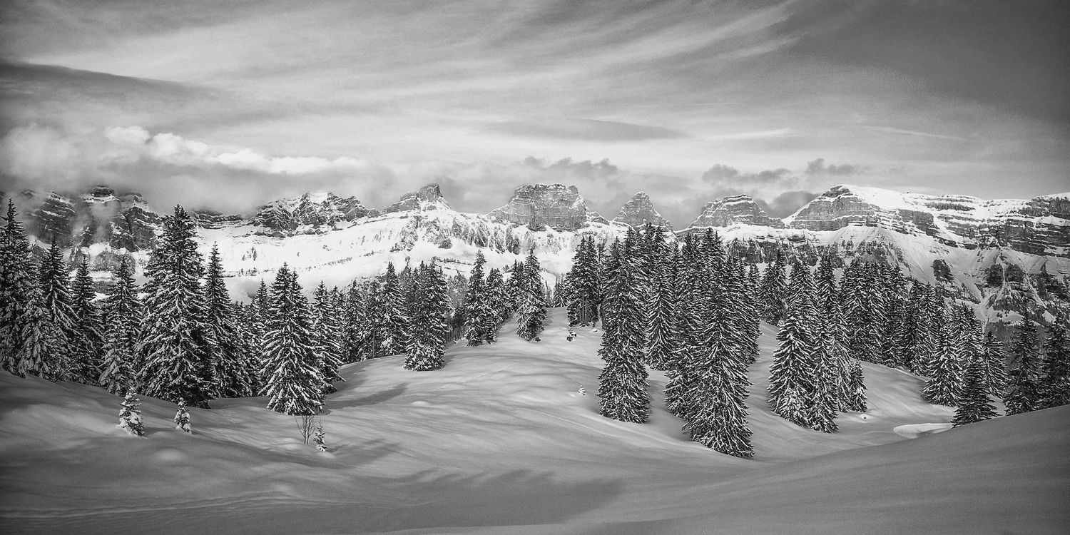 KimLacost's profile banner image