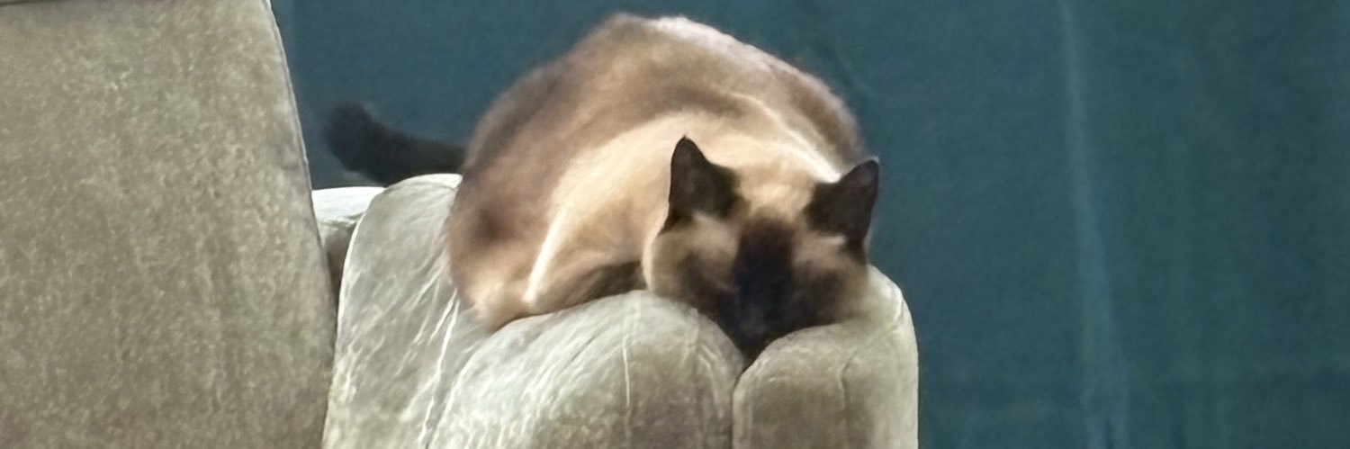 oliveweb1997's profile banner image