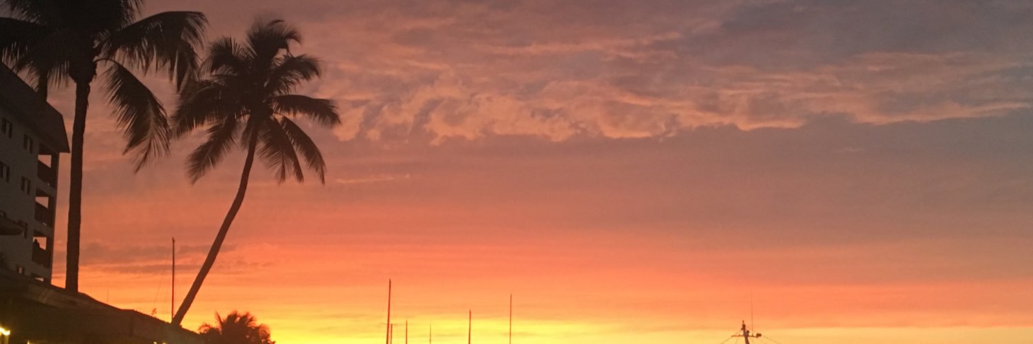 beachshark157's profile banner image