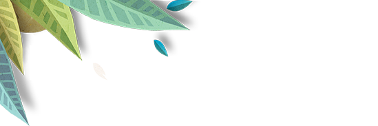VParaContarOnce's profile banner image