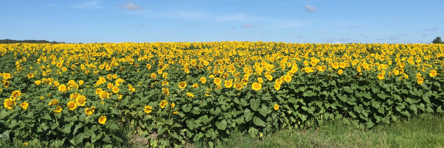 Jason Voogt P.Ag,CCA banner