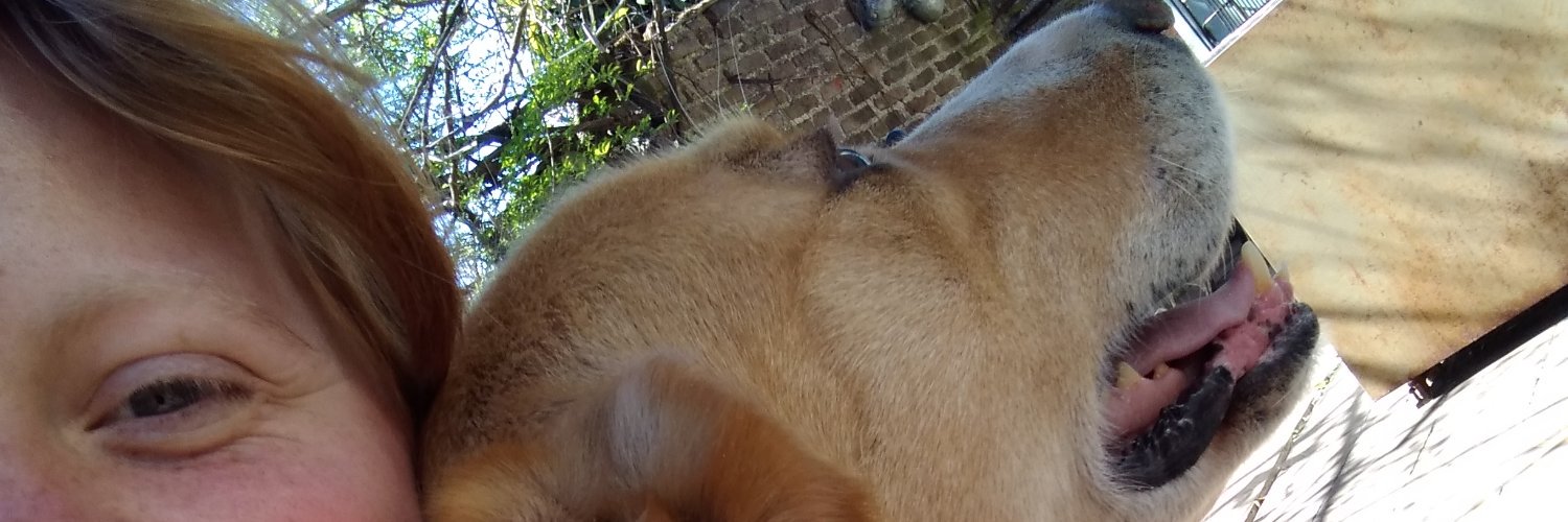 SonriSmile's profile banner image
