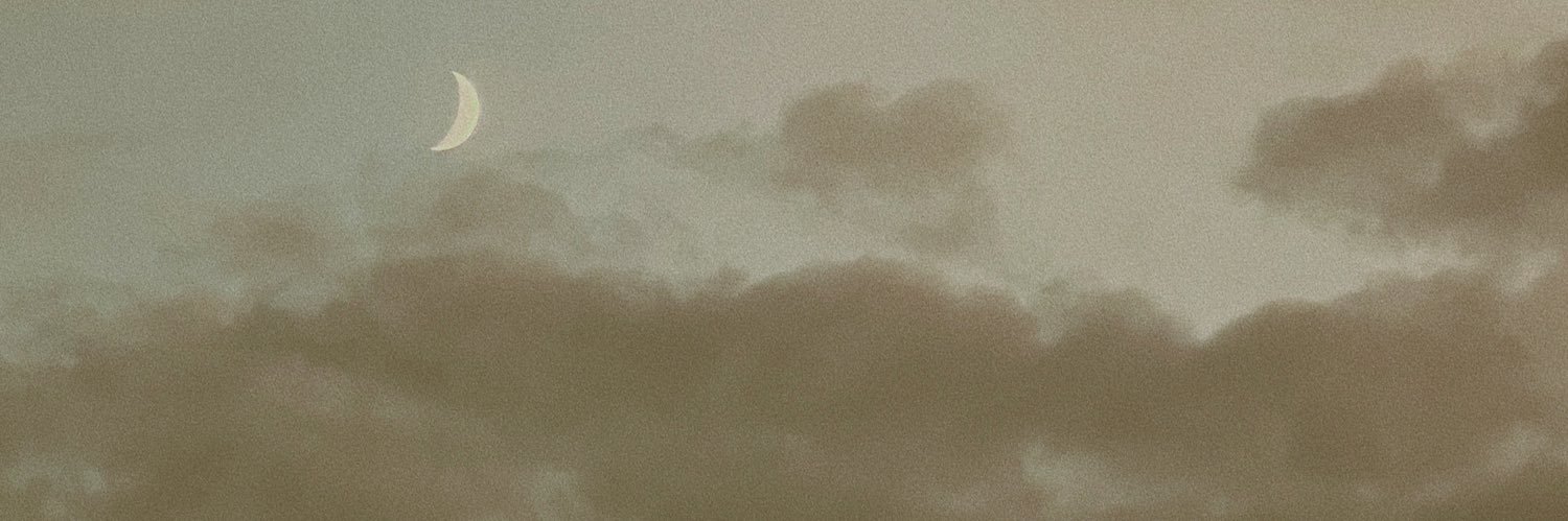 dirtyd_anielle's profile banner image