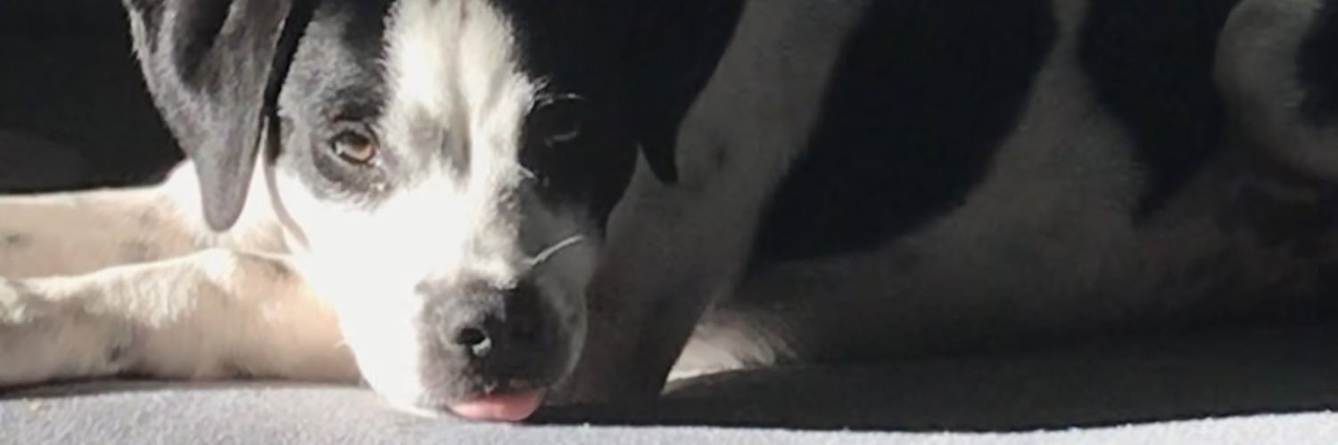 willyn1lly's profile banner image