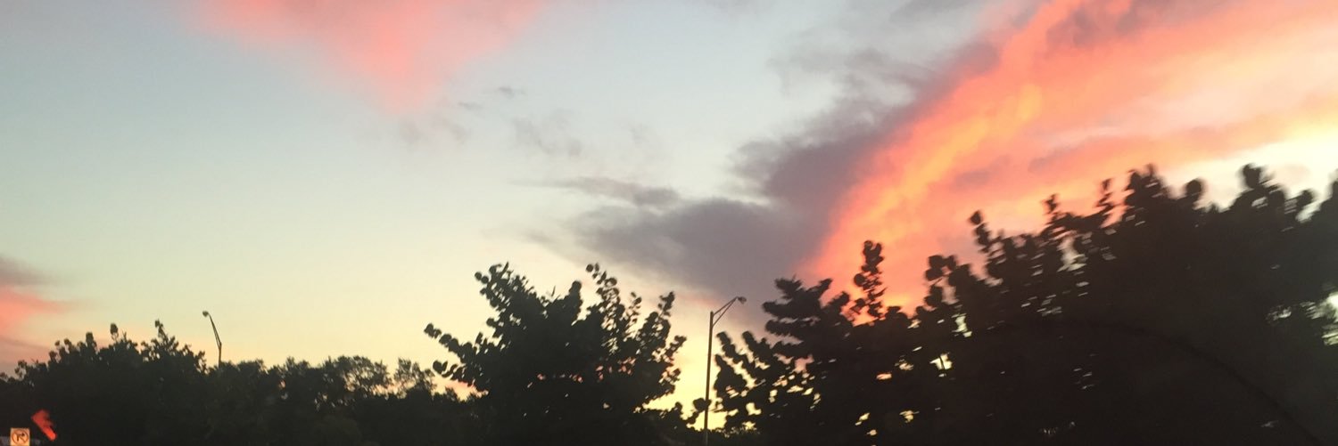 Howboutno454's profile banner image