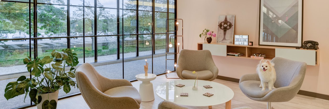 NPZ Style & Decor banner