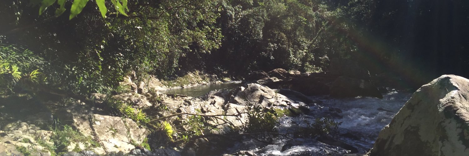 MaliaJL's profile banner image