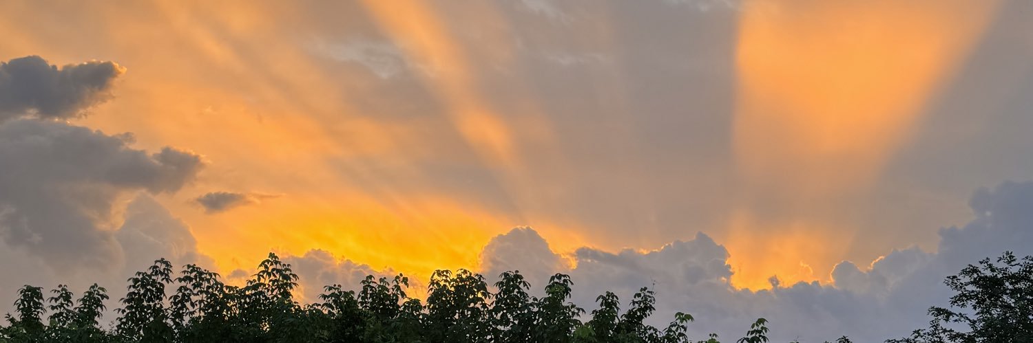 kylelusignan_'s profile banner image