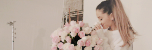 arianamiser's profile banner image