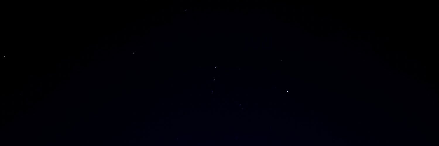 leotiger28's profile banner image