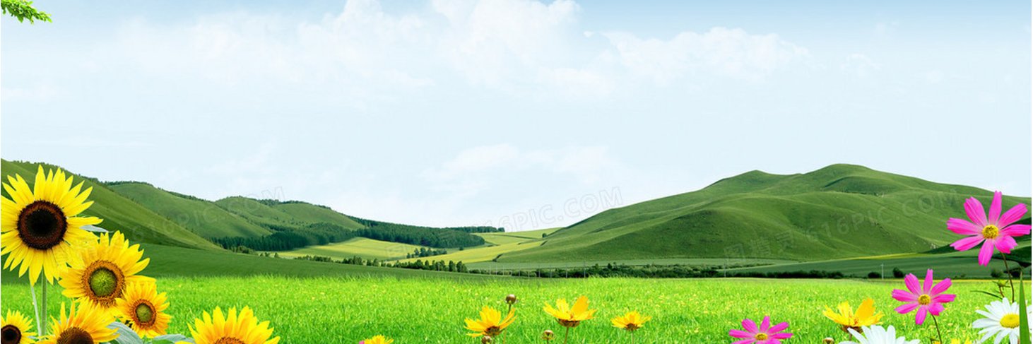 法国啄木鸟·直通车 banner