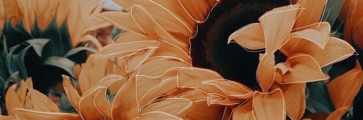 emilythwaits's profile banner image