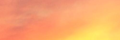 hellhounds's profile banner image