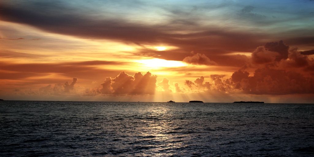 Aliss Quintana banner