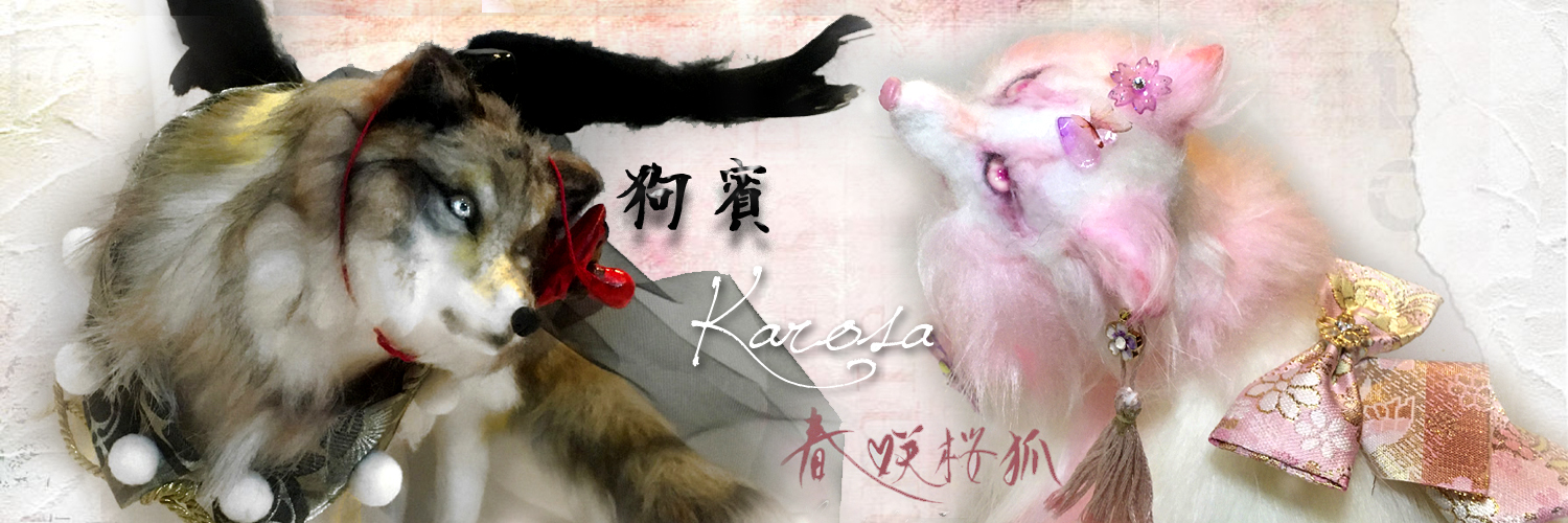 karosa29's profile banner image