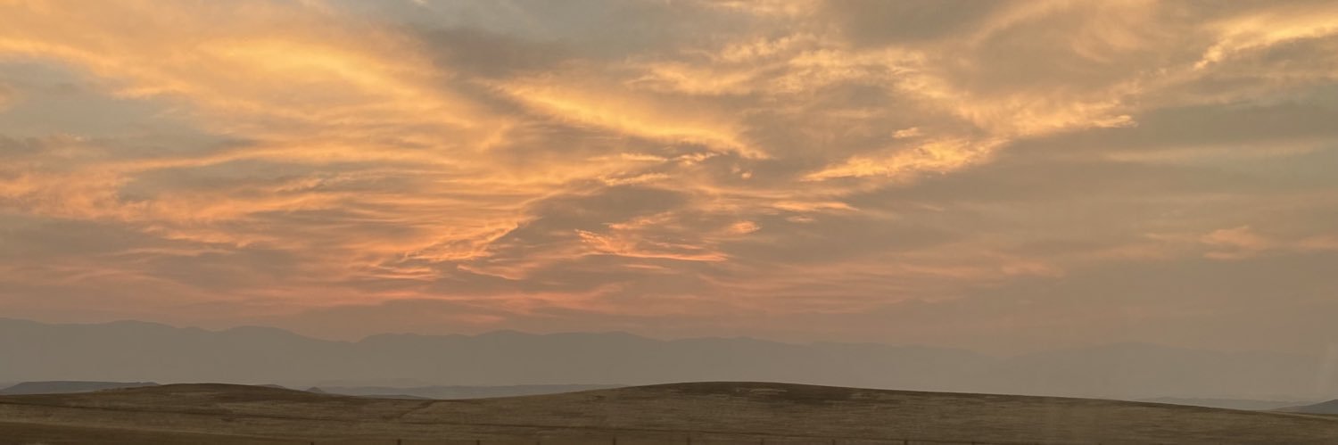 emmyroset's profile banner image