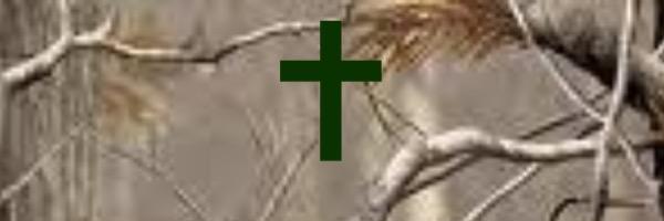 RaysTheBar727's profile banner image