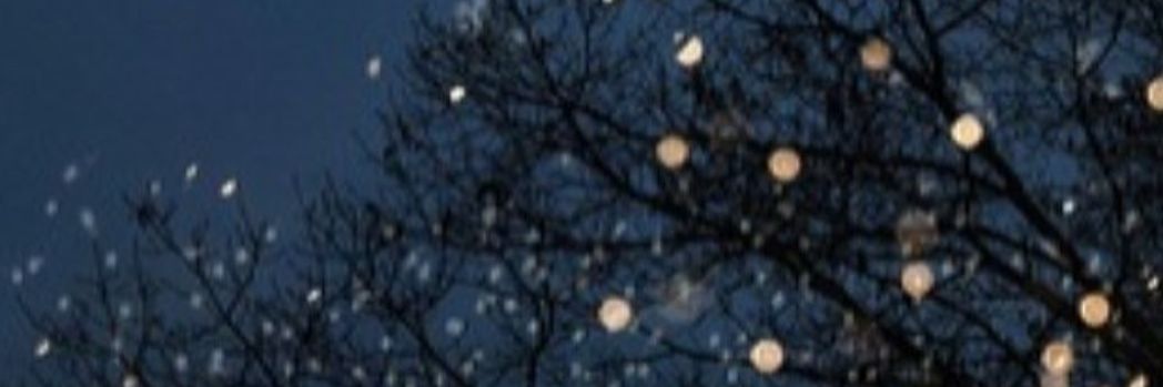 werty66904's profile banner image