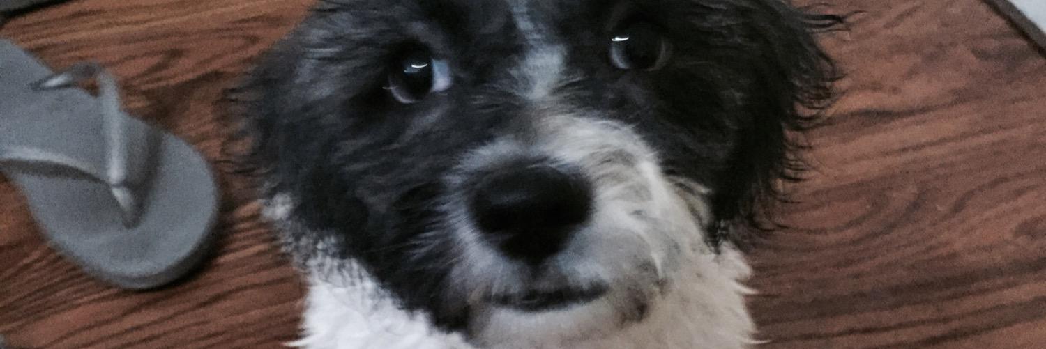 emetiam's profile banner image