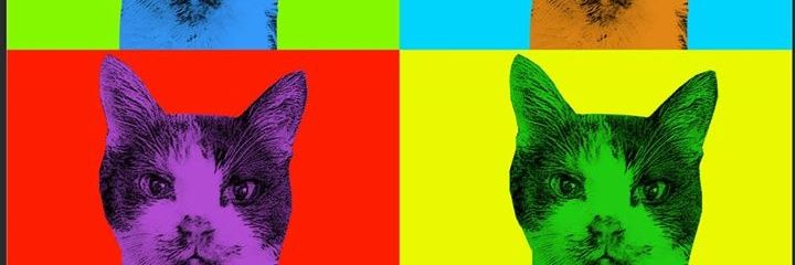 daUPhereReviews's profile banner image