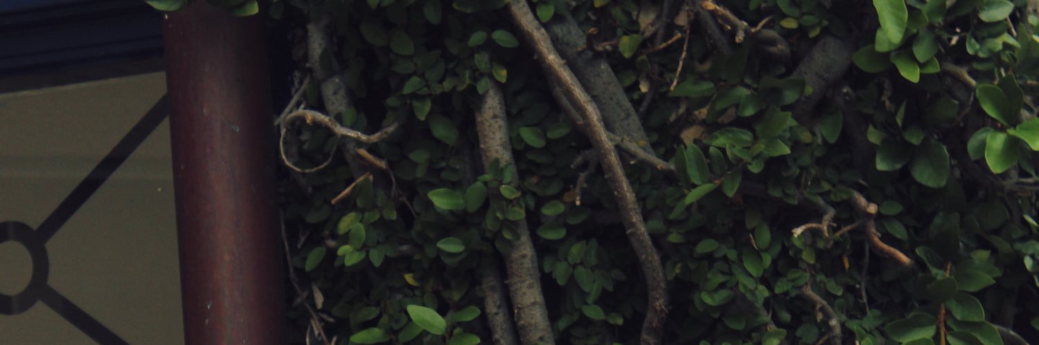 aabw__'s profile banner image