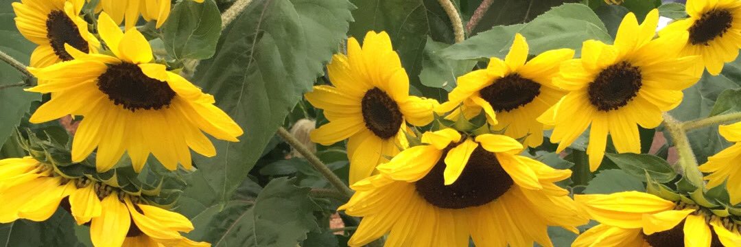 mooonrivver's profile banner image