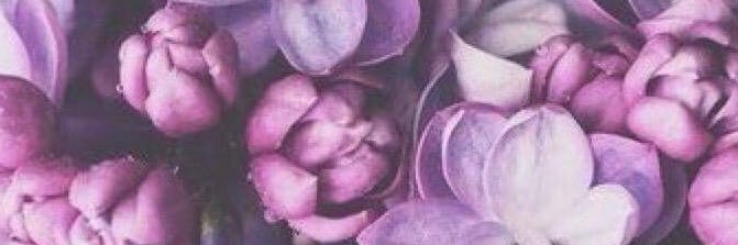 emmanotte's profile banner image