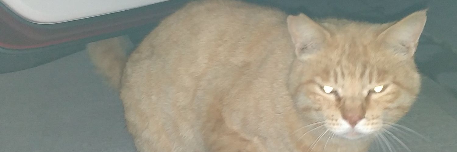 butthethingin's profile banner image