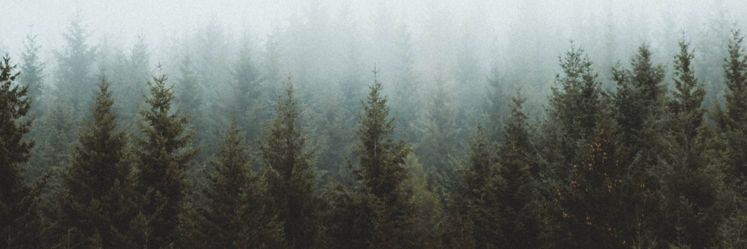 fibrahMD's profile banner image