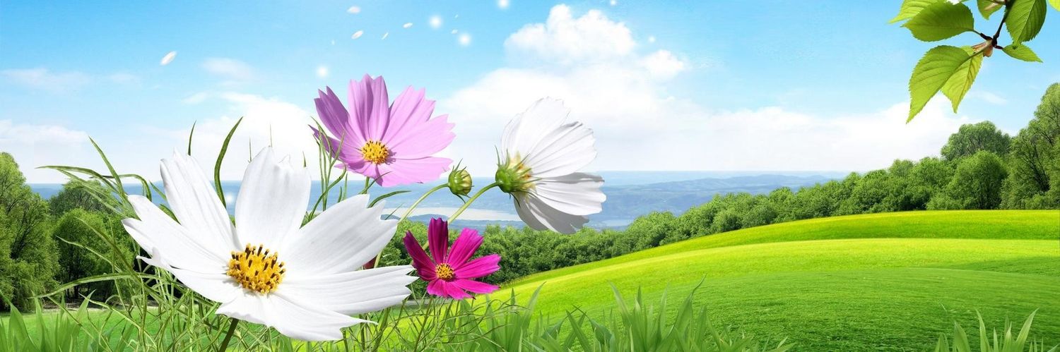 virendramdp.eth 🌶️(🌸, 🌿) banner
