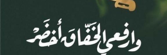 ابوناصر KSA💚 banner