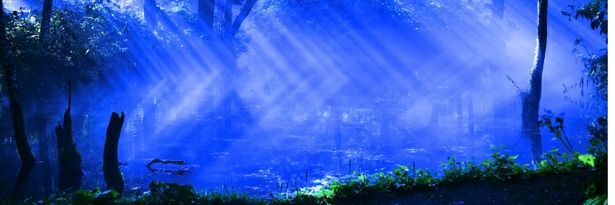 23batsu's profile banner image