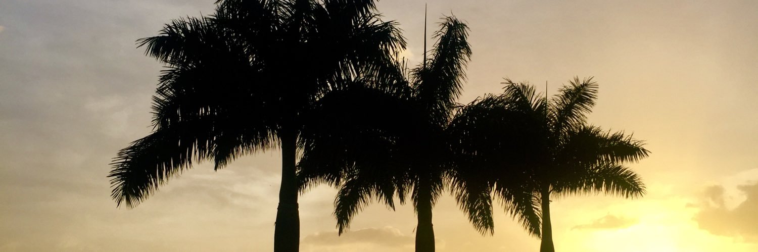 IvethMadrid's profile banner image