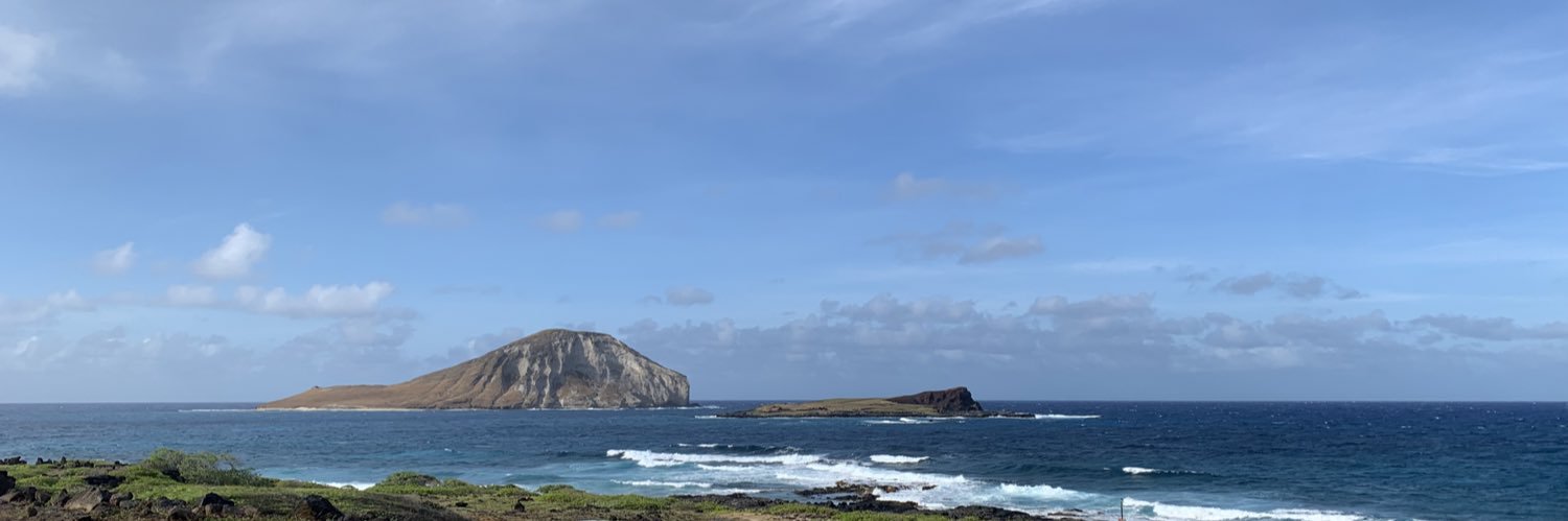 Anthony DeMayo banner