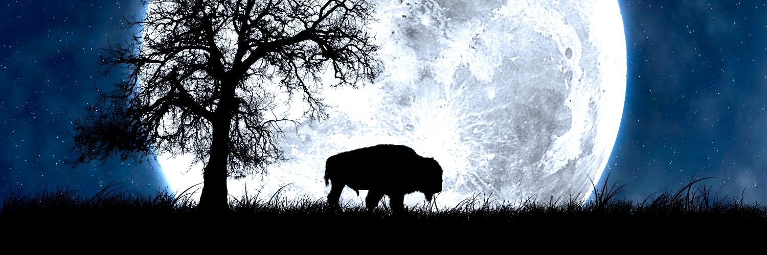 BrandedBuffalo banner
