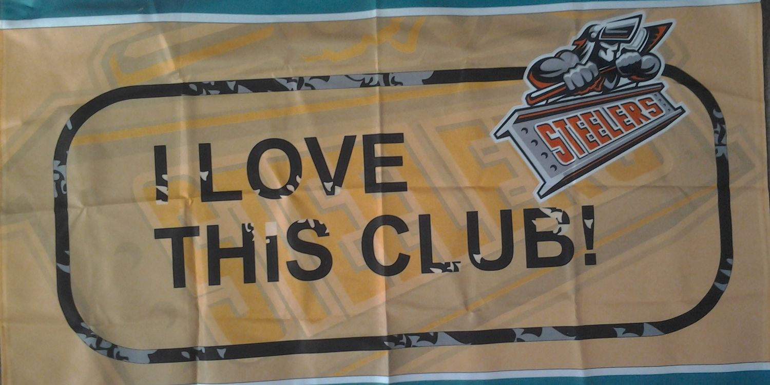 Hayley Fisher banner