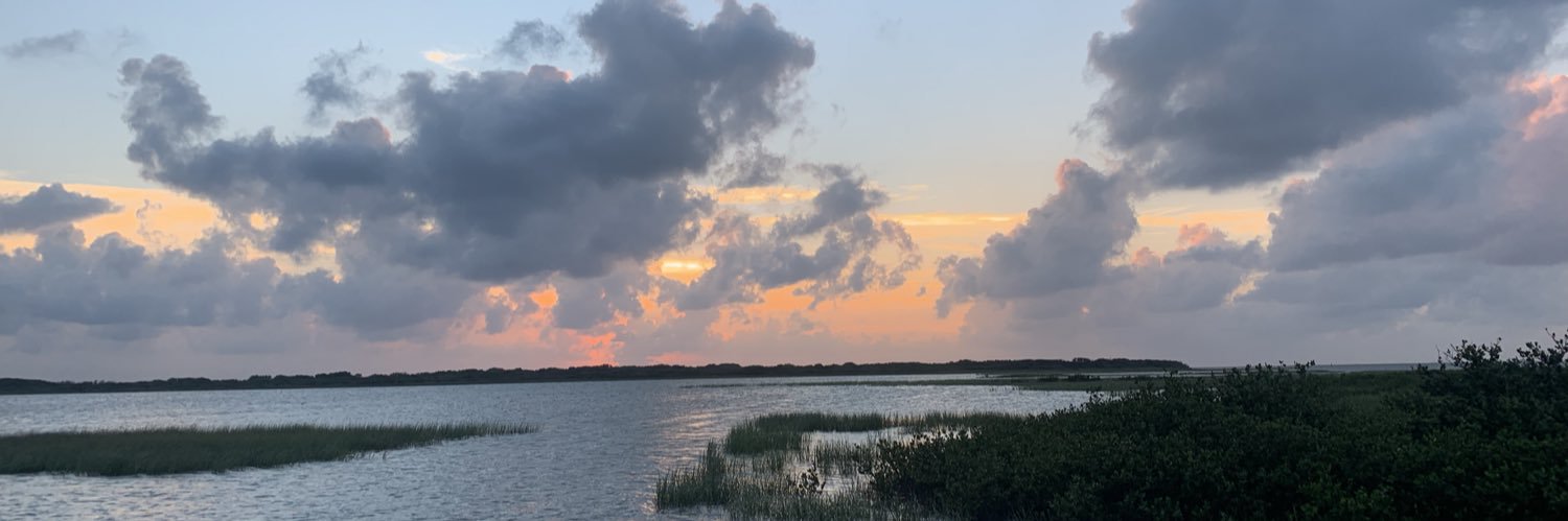 MaryRamby's profile banner image