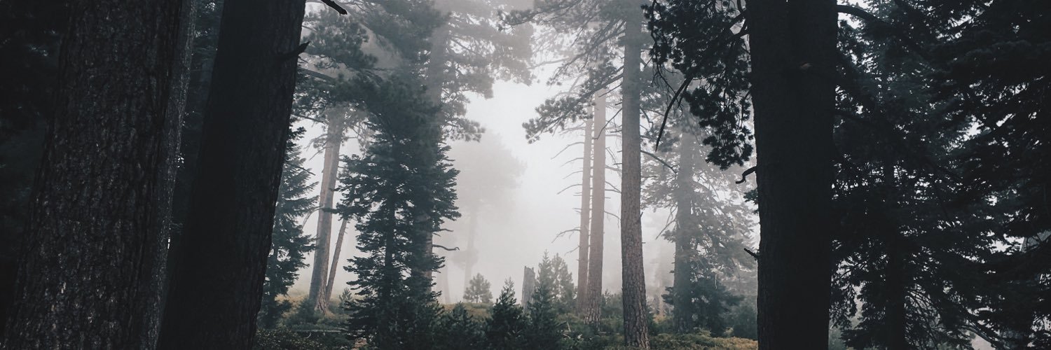 pheelipberg's profile banner image