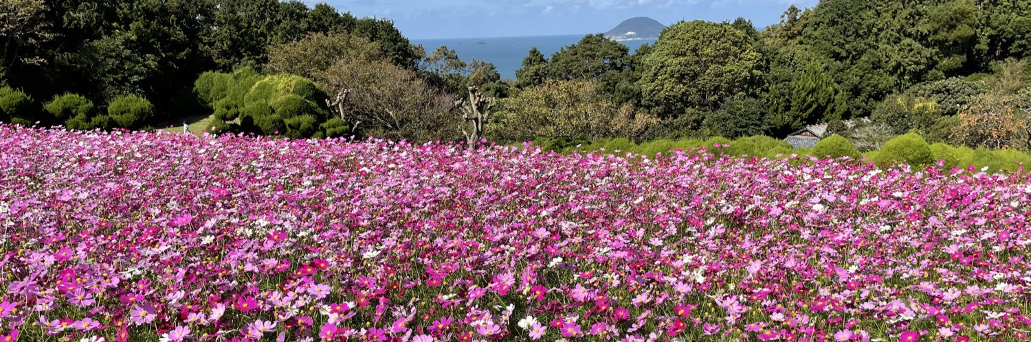 あや　かわうそ banner