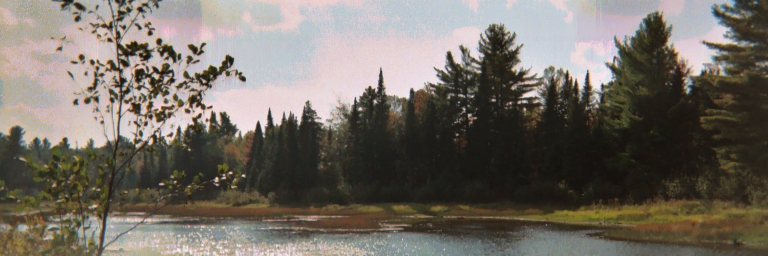 Sheilabbl's profile banner image