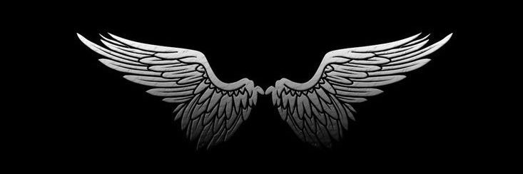 FolaroriM's profile banner image