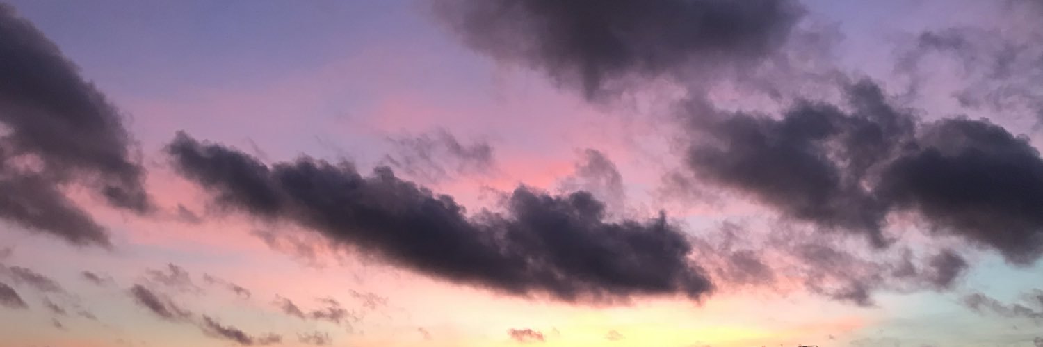boilingeggs's profile banner image