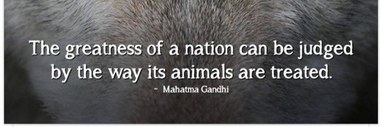 CLAIRE COOPER banner